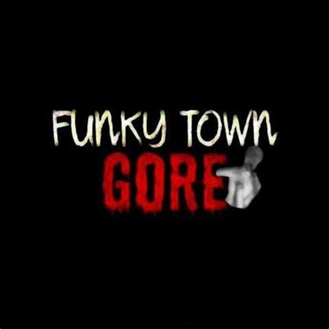 funky town gore soccer|N. Virginia Recreational Sports